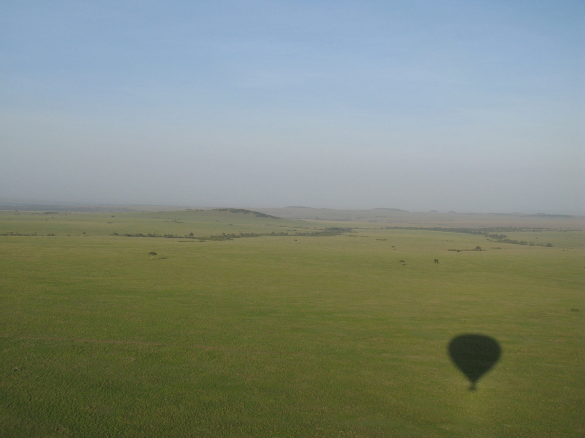 Kenya SD 3 Mara Aerials-Masai-Wildlife-NYC 3-1-5-2008 021     